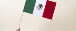 La internacionalización de empresas en el campo mexicano: una apuesta por el crecimiento global