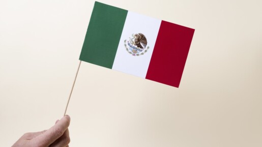 La internacionalización de empresas en el campo mexicano: una apuesta por el crecimiento global